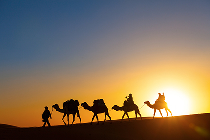 Traveling in a Camel Caravan in Dubai